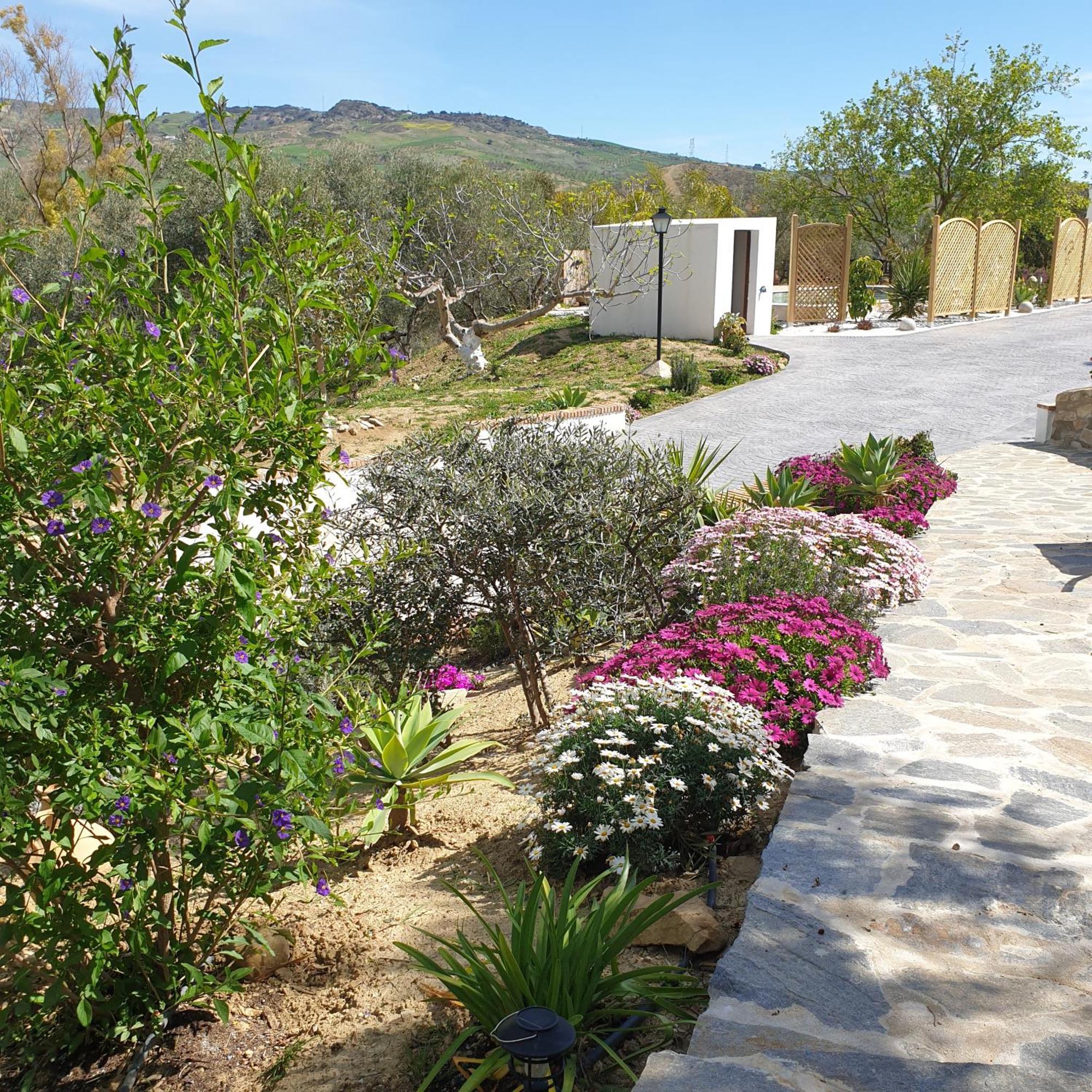 Finca Altozano - Private Pool - Unique Client Valle de Abdalagís Exteriér fotografie